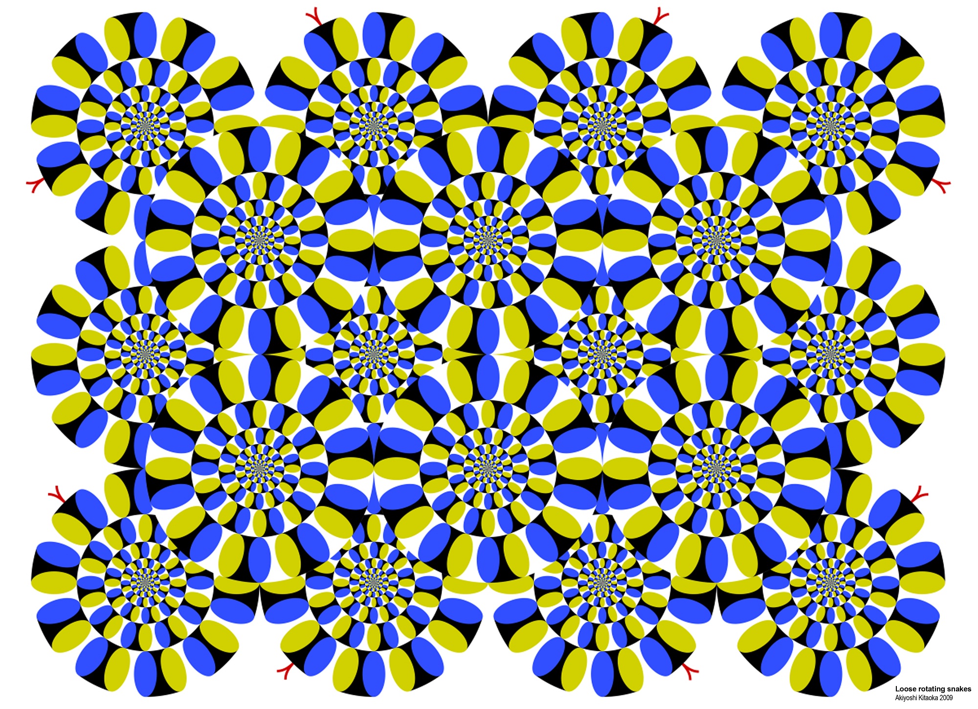 Titelbild: Sonderaustellung "Illusionen"