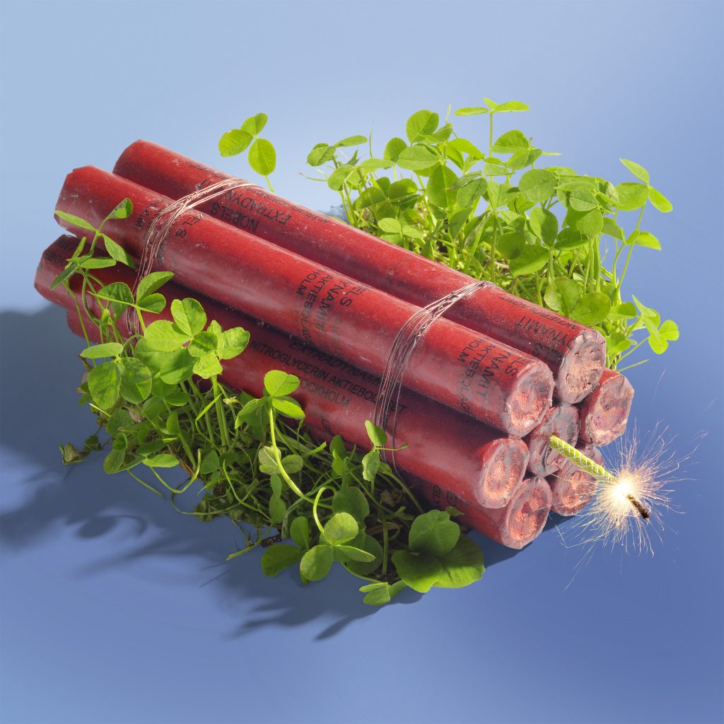 Titelbild: "Grüner Klee und Dynamit"